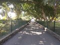 Pelleginaggio Terra Santa 3° giorno (18)