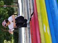 Diamo un colre alla piazza (112)